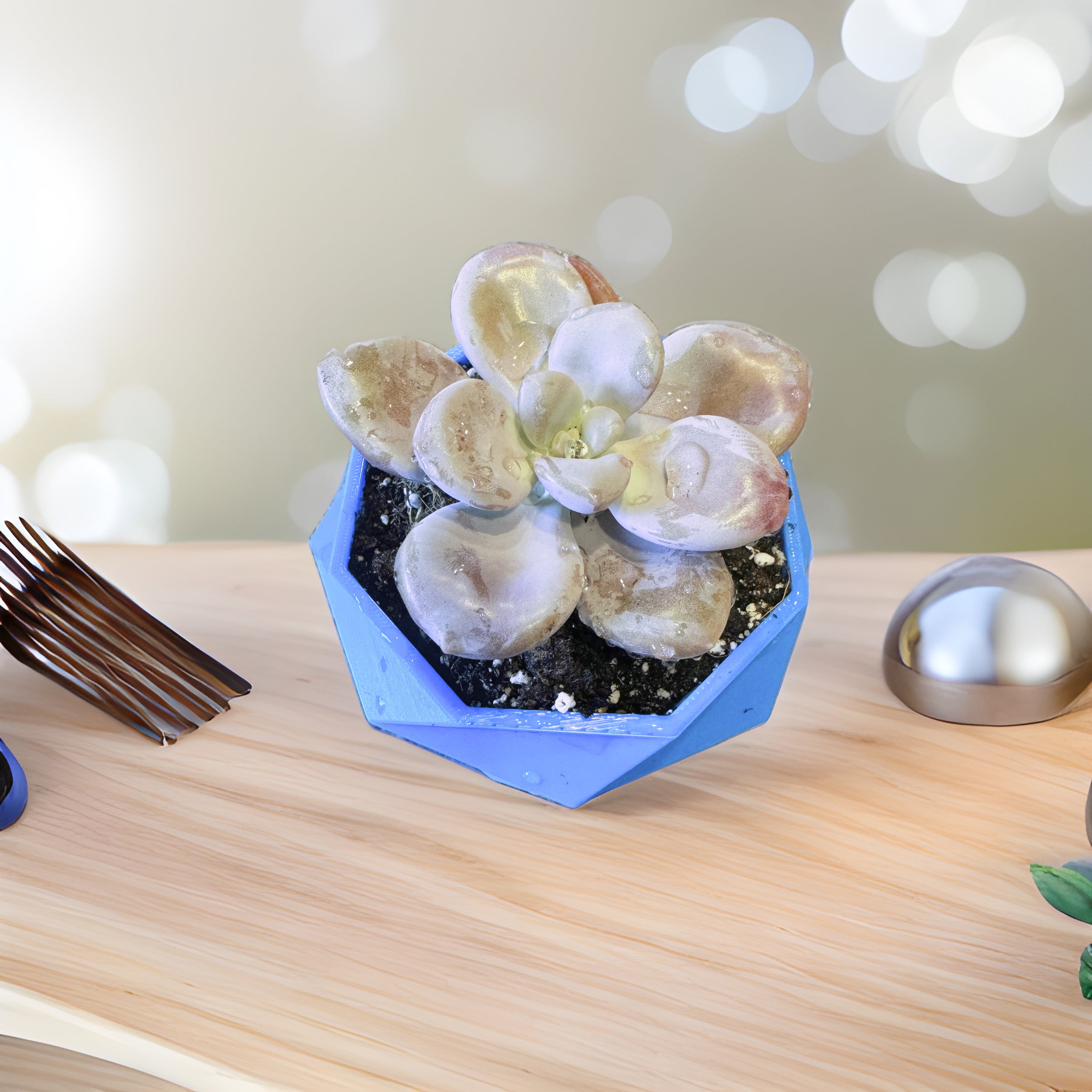Geometric Succulent Planter | MDH3 Tech